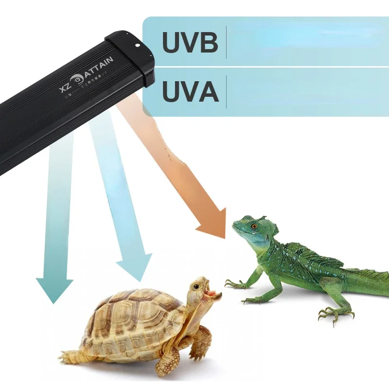 Repodyuva + ubled uvランプ10.0/20 - Calcium Powder Reptile のレビューと価格
