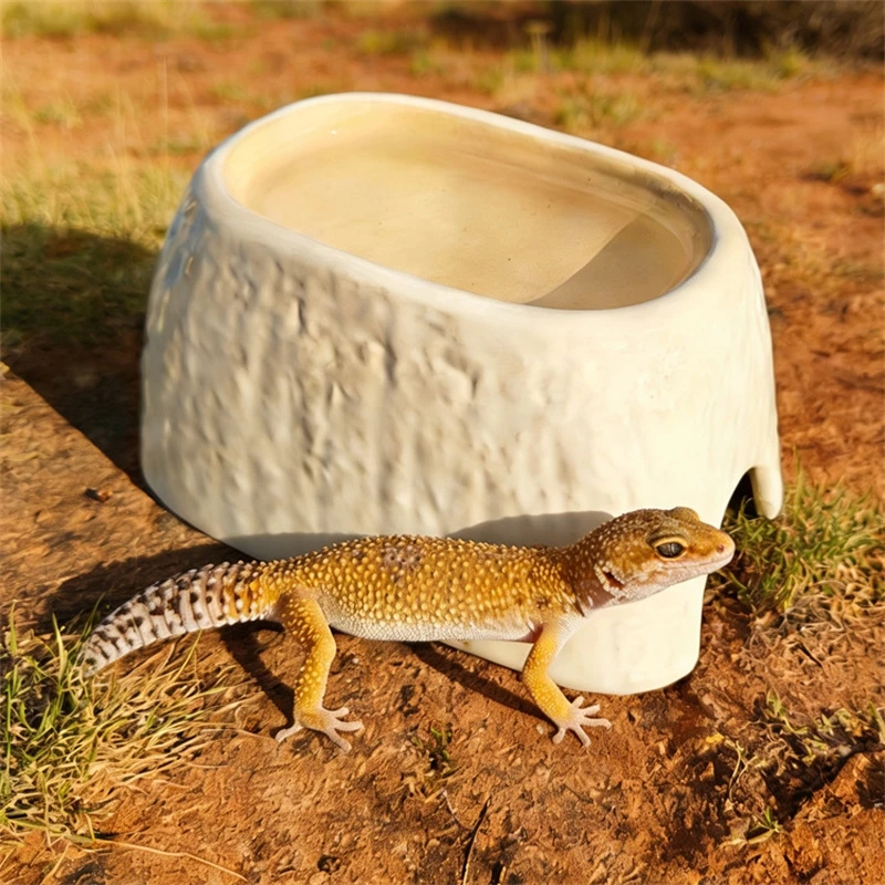 セラミック製のヒョウ柄の加湿隠れ家、ヤモリ、タランチュラ、ア - Hide Cave Ceramic のレビューと価格