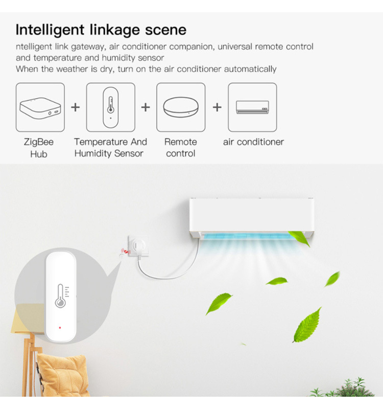 eWeLink スマート ZigBee 温度と湿度センサー  - Digital Hygrometer Probe のレビューと価格