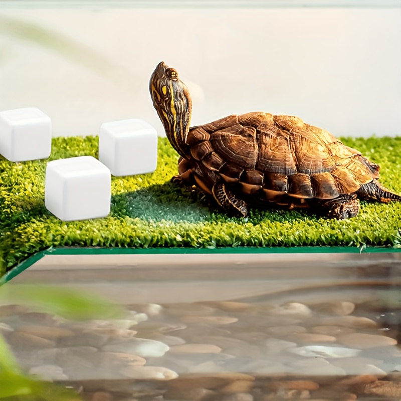 6個入り 魚タンク用カルシウムブロック ミネラル アクアリウ - Calcium Powder Reptile のレビューと価格